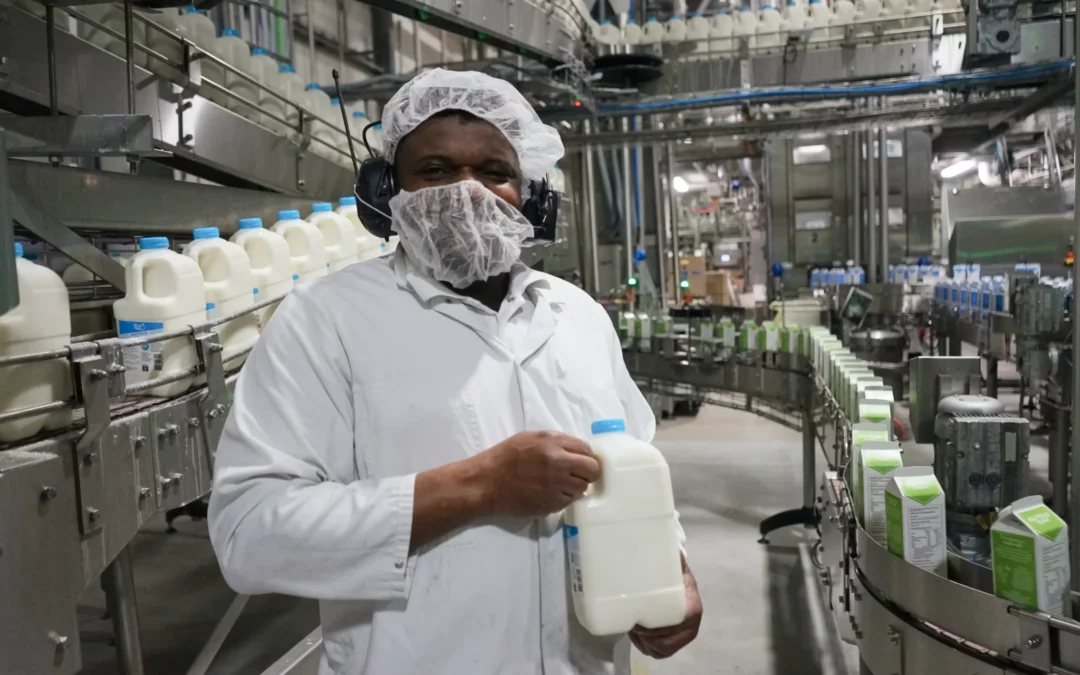 Digitalisatie en inzicht bij Farm Dairy met Blinqx procurement software